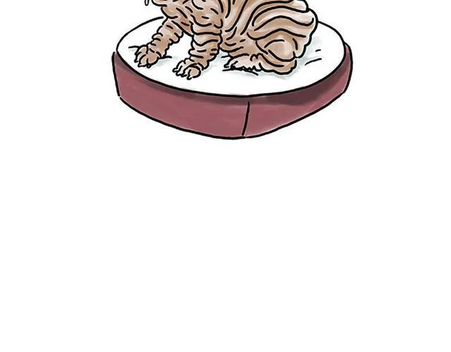 师傅的马戏 第10页