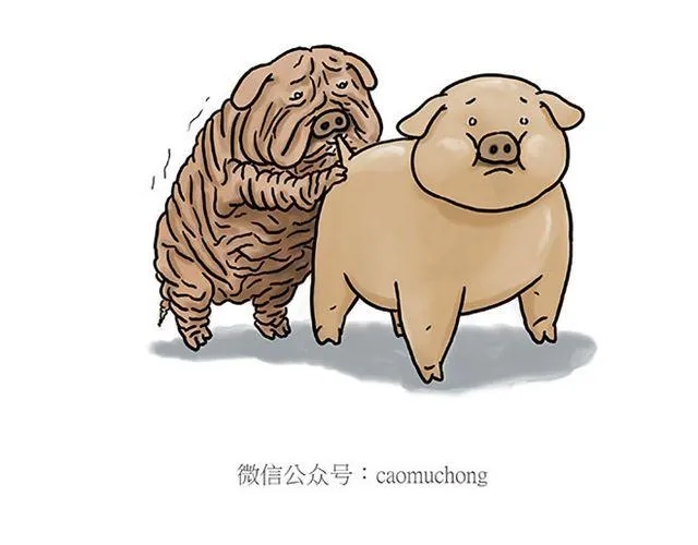丘比特之箭 第35页