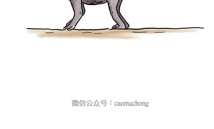 猴的新年 第22页