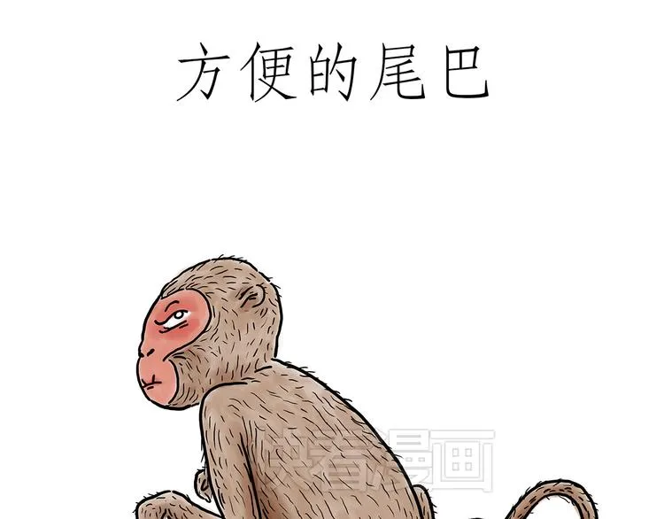 猴的新年 第29页