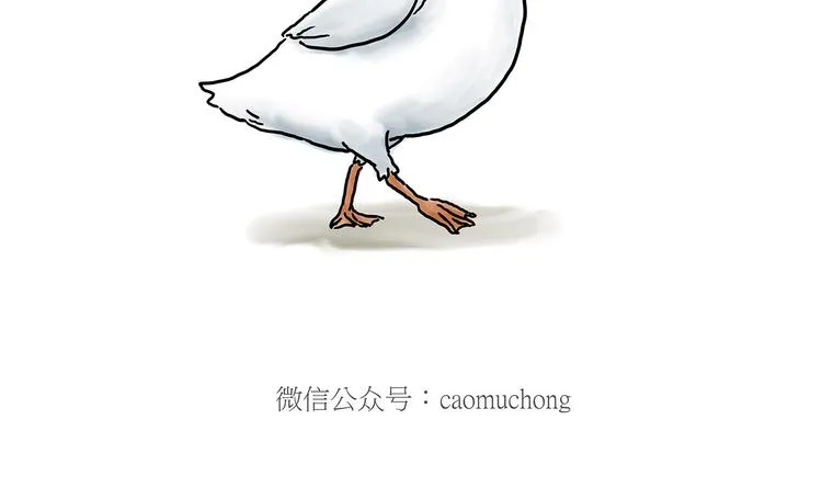 你看懂了吗？ 第38页