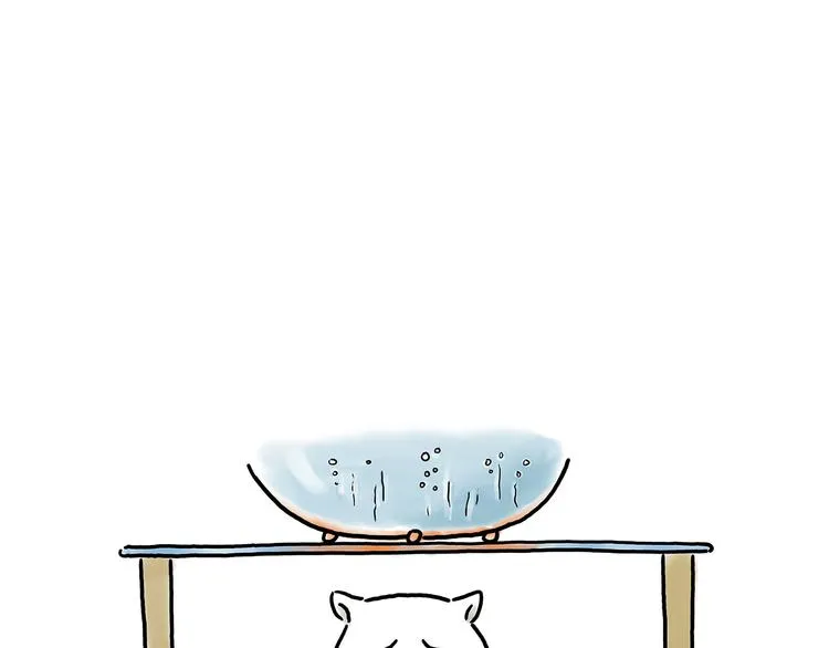 师傅照相馆 第19页