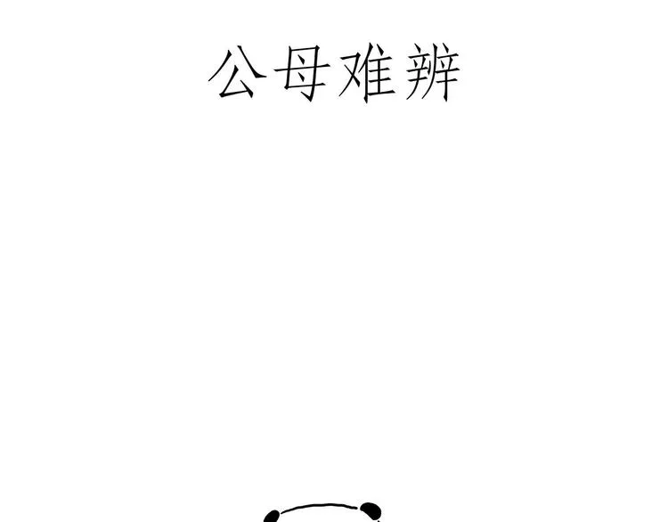师傅抢红包 第19页