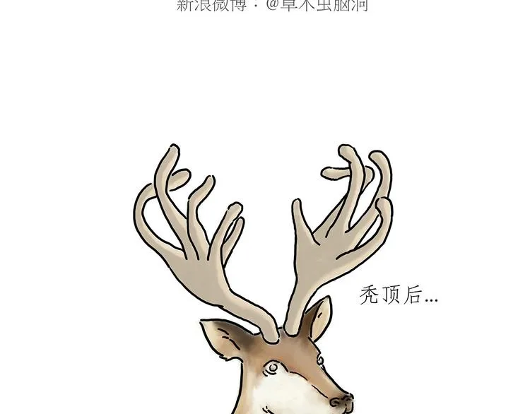 师傅抢红包 第27页