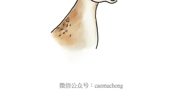 师傅抢红包 第28页