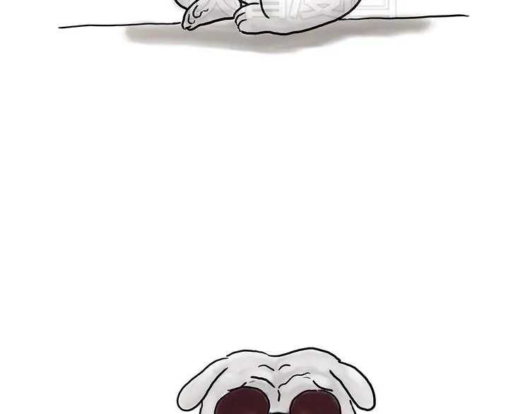师傅获奖 第10页