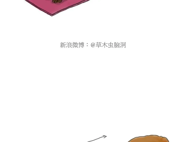 师傅获奖 第24页