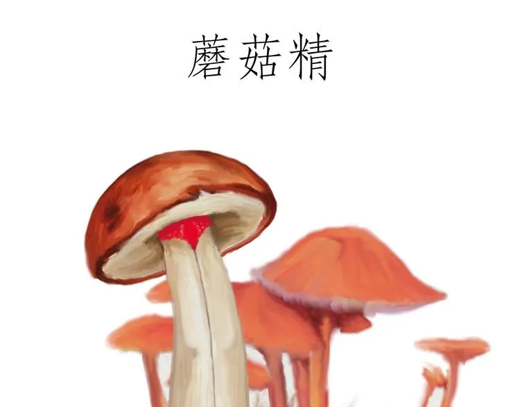 牛排联想 第17页