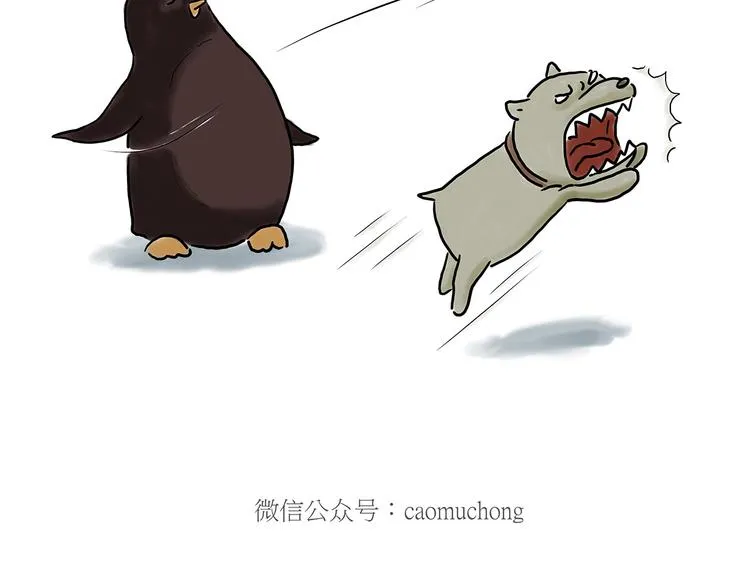 贪吃的蝙蝠 第28页