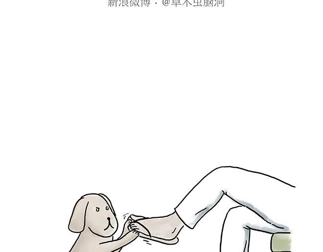 企鹅公厕 第11页