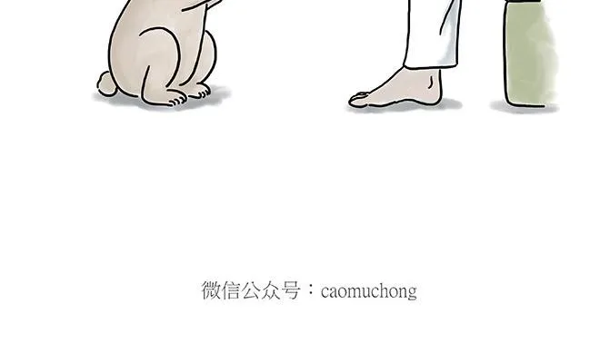 企鹅公厕 第12页