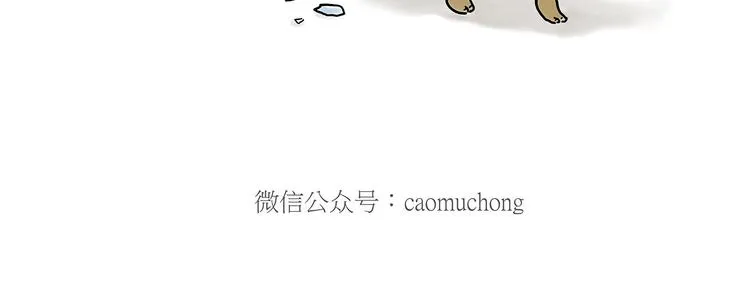 踢毽子 第27页