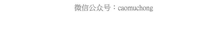 挤地铁 第32页