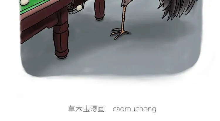 鸡打台球 第2页