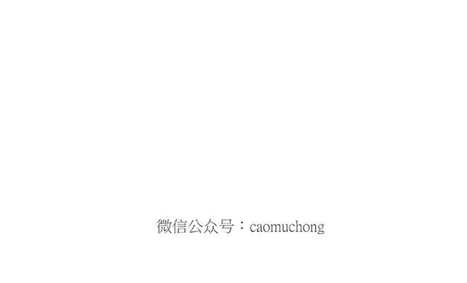 鸡打台球 第12页