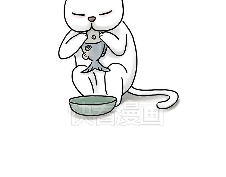 豆腐乳 第4页
