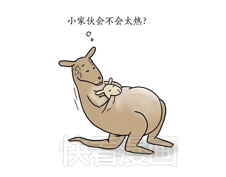 豆腐乳 第31页