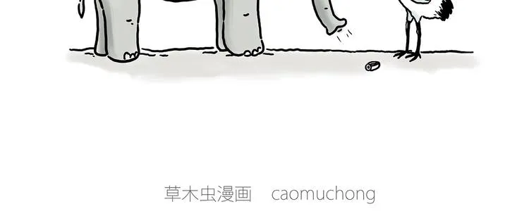 巧手小马 第9页