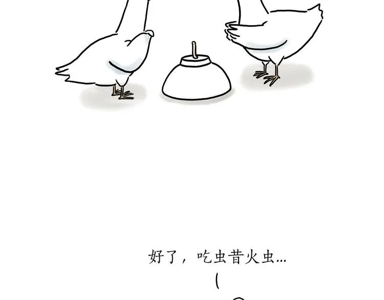 巧手小马 第19页