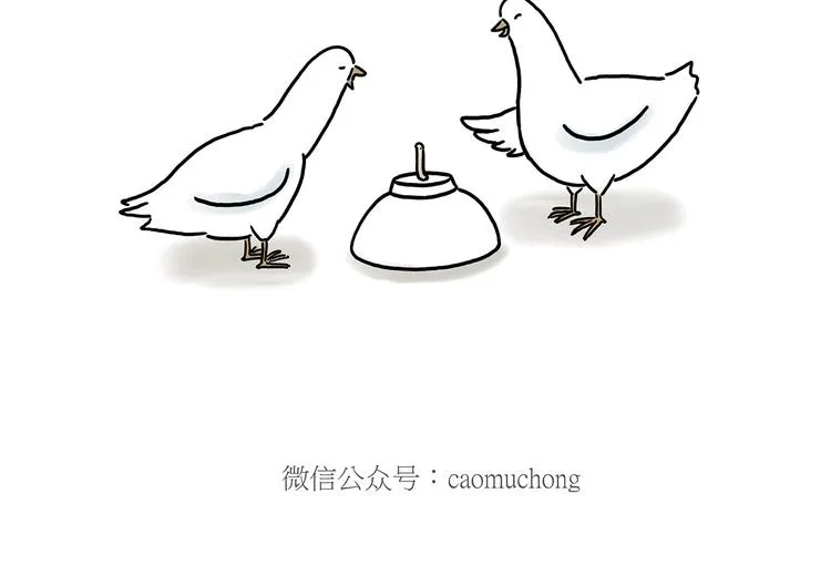 巧手小马 第20页