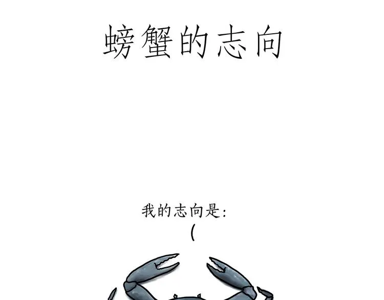 巧手小马 第25页