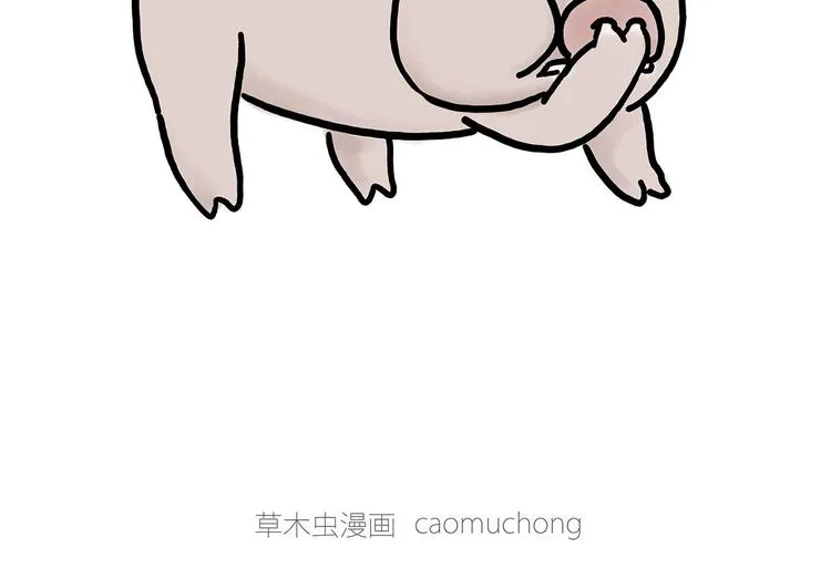 熊猫踢球 第22页