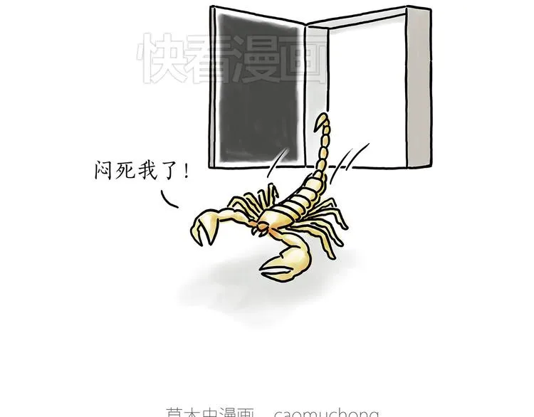 小鸡炖蘑菇 第15页