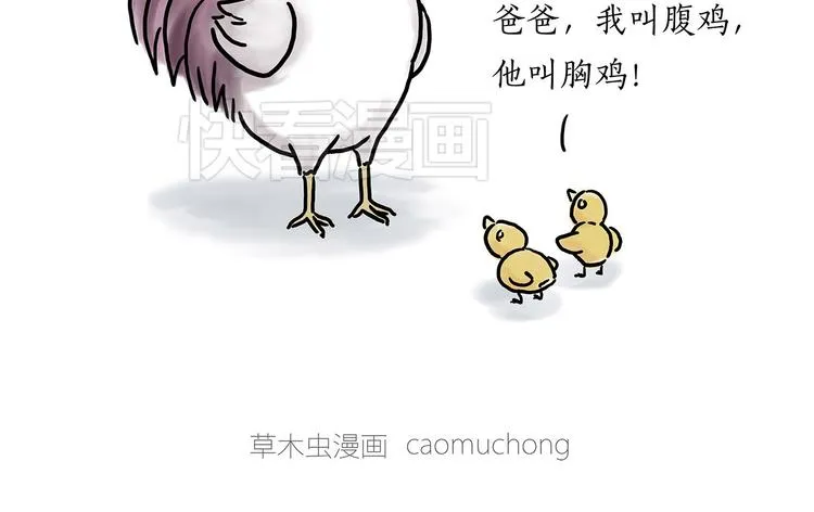 小鸡炖蘑菇 第35页