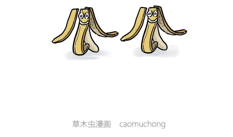 肉粽冲浪 第17页