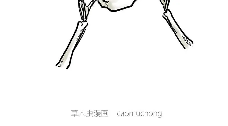 露大腿 第10页