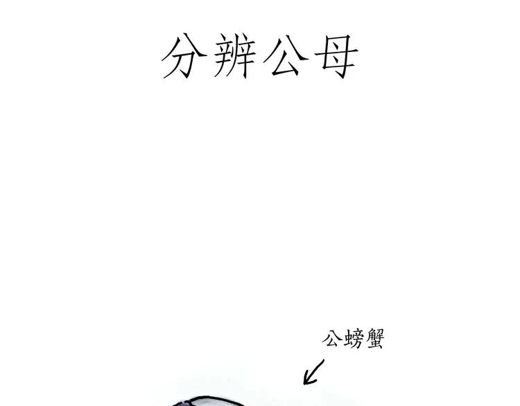 胶原蛋白 第10页