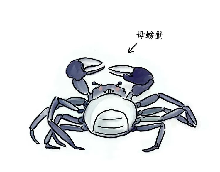 胶原蛋白 第12页