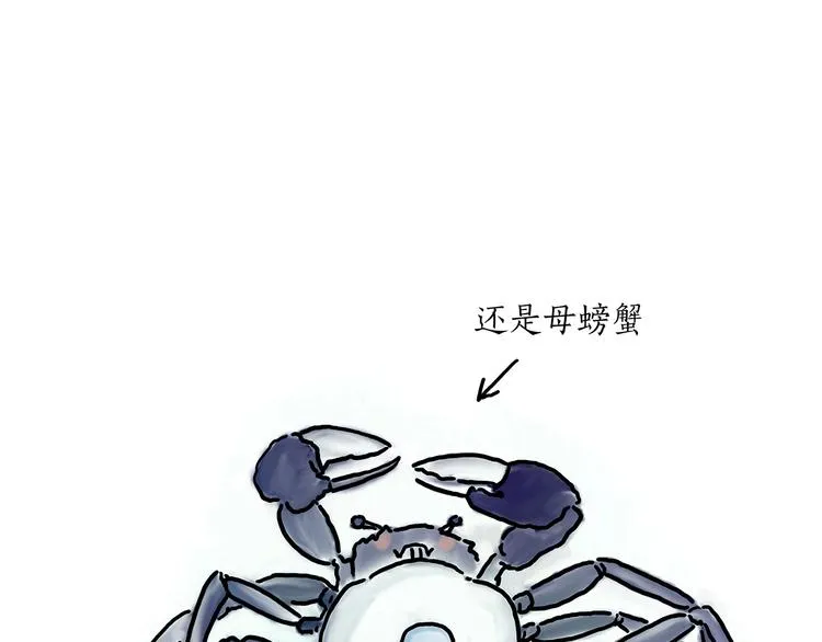 胶原蛋白 第13页