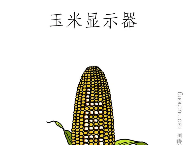 胶原蛋白 第25页