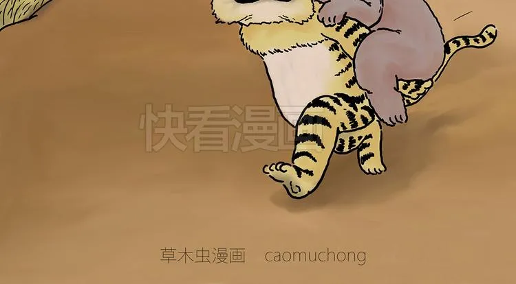 斗舞 第4页