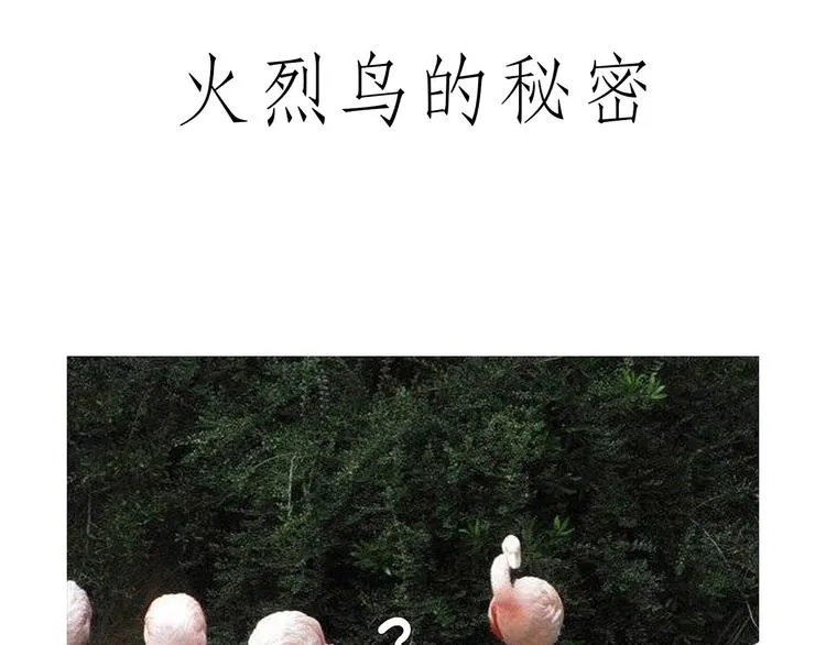 斗舞 第16页