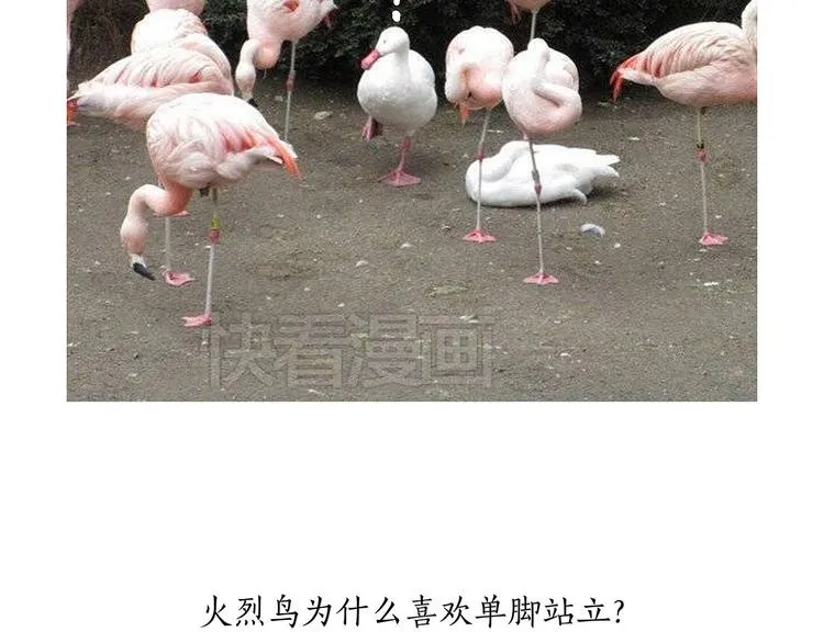 斗舞 第17页