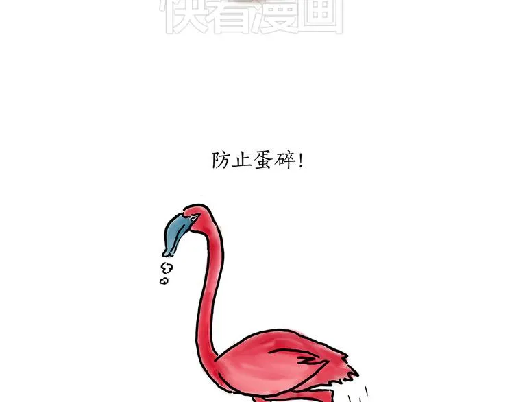 斗舞 第19页
