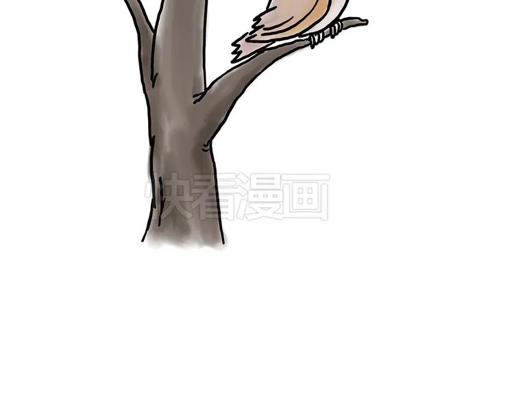 斗舞 第27页