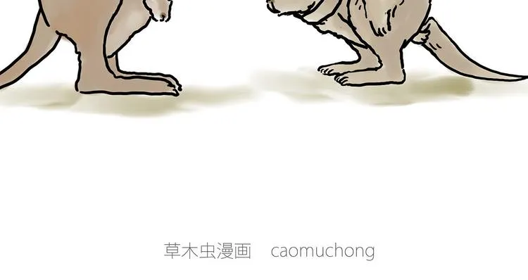 斗舞 第35页