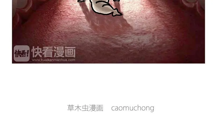 穿哪双鞋 第43页