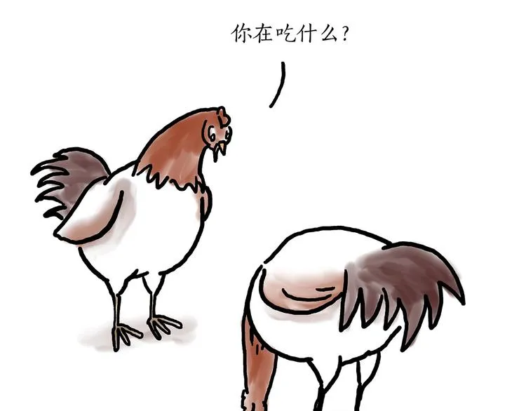 水上芭蕾 第19页
