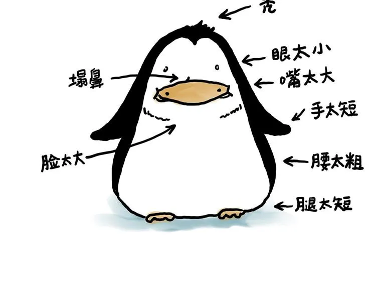 水上芭蕾 第30页