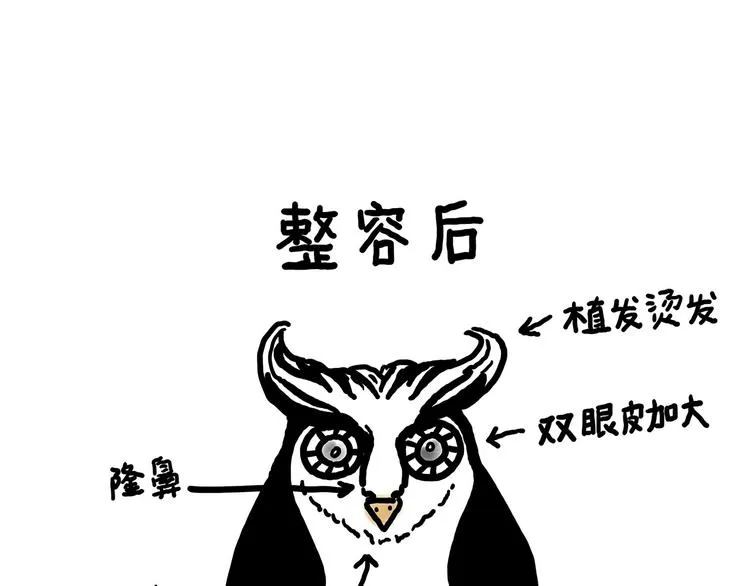 水上芭蕾 第31页