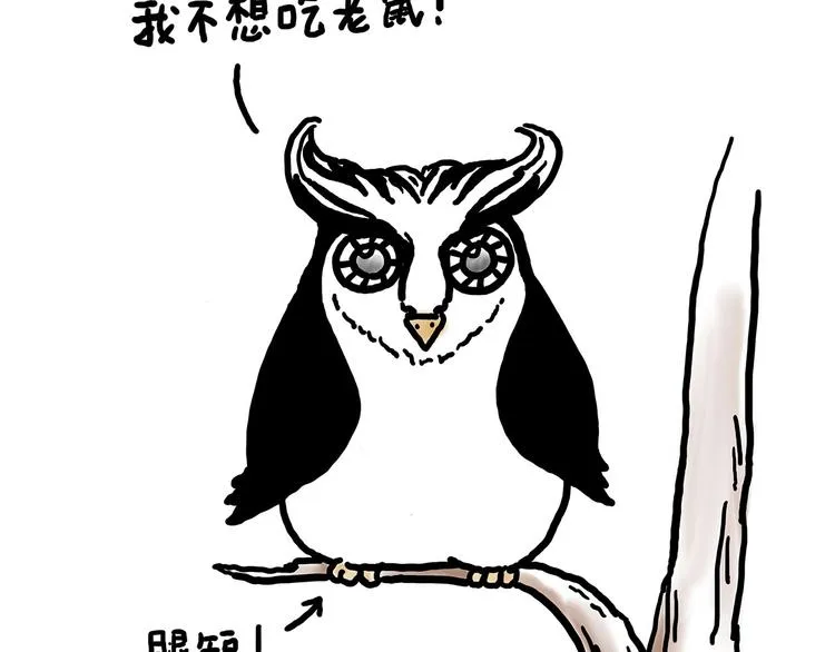 水上芭蕾 第33页