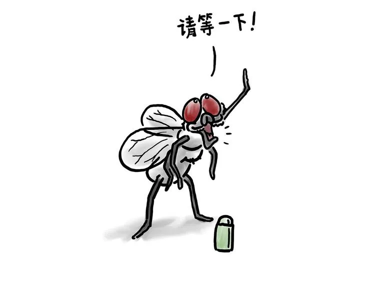 拖马师 第4页