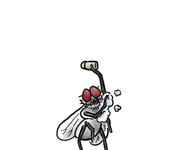 拖马师 第5页