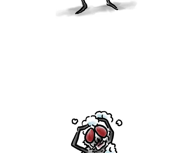 拖马师 第6页