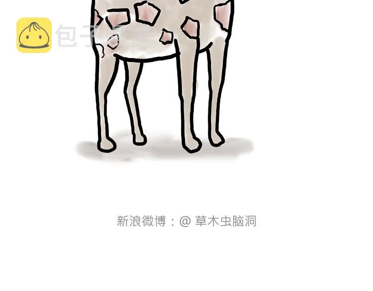 拖马师 第15页