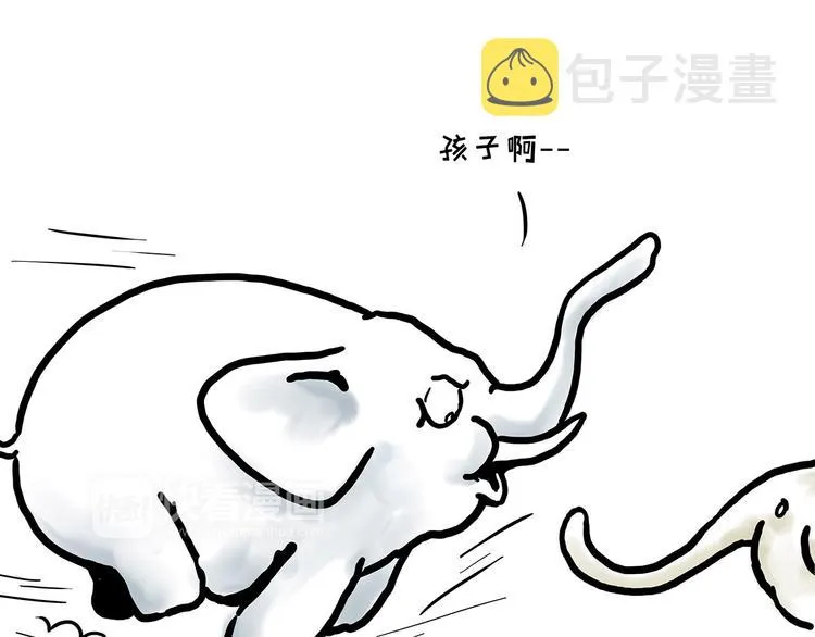 舞狮迎新年 第5页